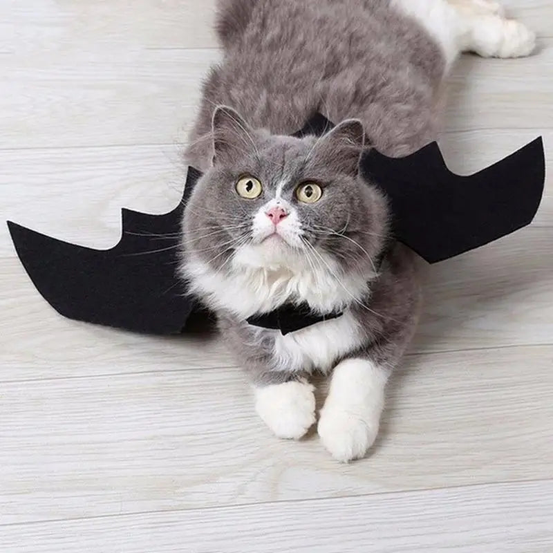 Cute Bat Halloween Costume 🐶🐱