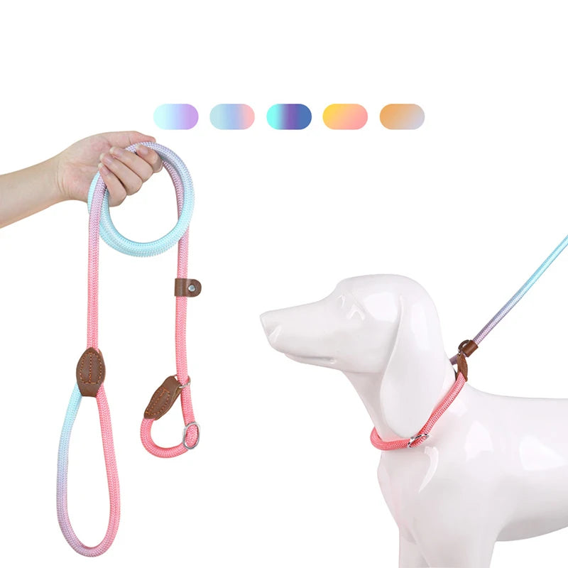 Dog Slip Lead for Small Medium Large Dogs