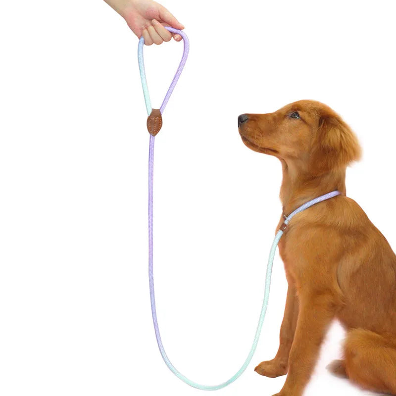 Dog Slip Lead for Small Medium Large Dogs