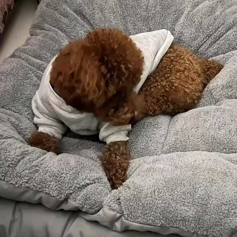 Extra Large Plush Dog Bed – Soft Thickened Pet Mat