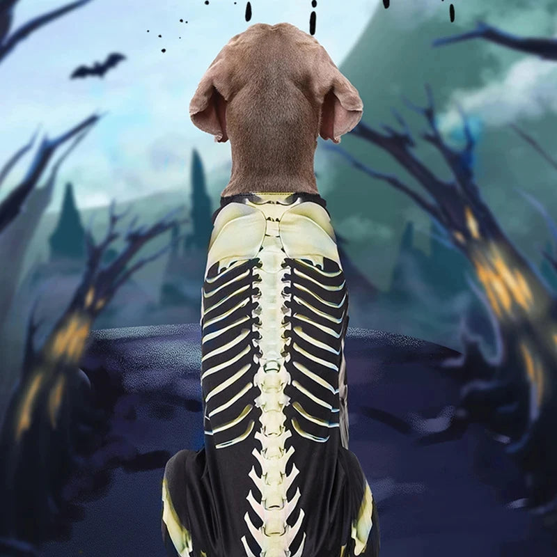 Pet Skeleton Halloween Costume 🐶