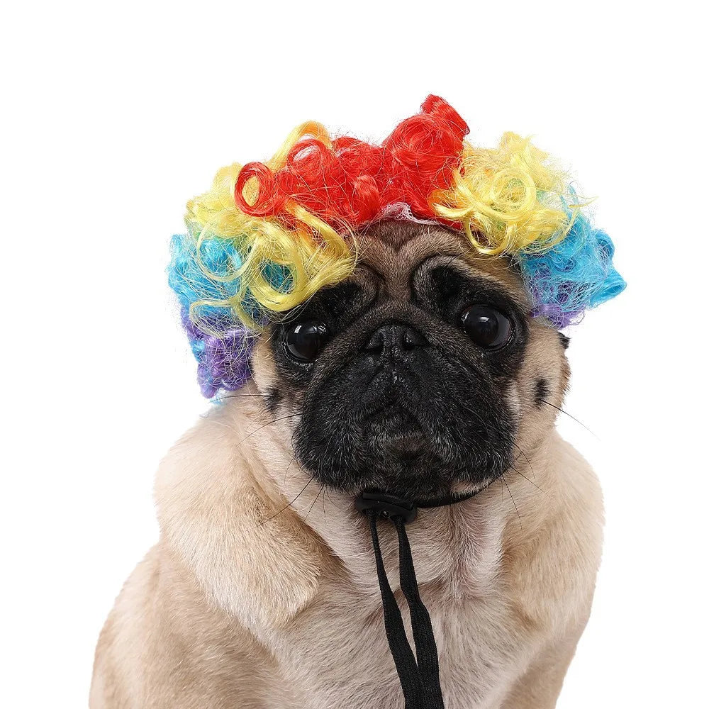 Pet Wigs 🐶🐱
