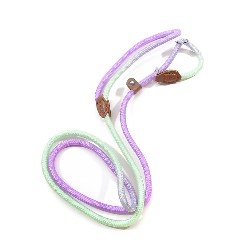 Dog Slip Lead for Small Medium Large Dogs