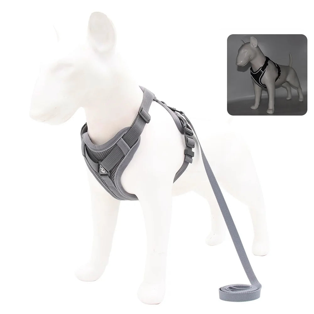 Harness and Leash Set