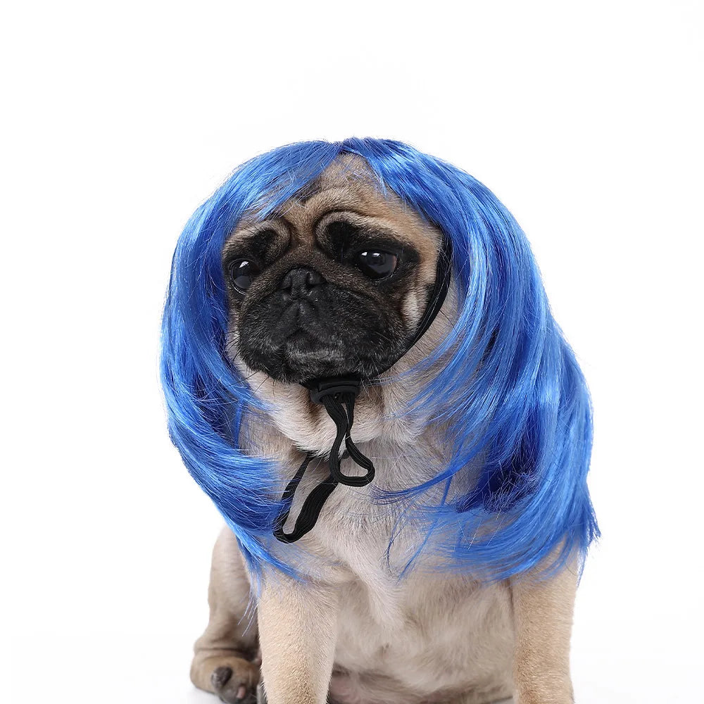 Pet Wigs 🐶🐱