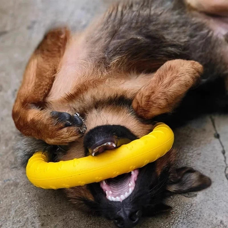 Dog Ring Toys