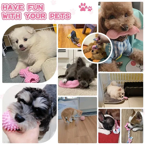 Dog Chew Toys for Cleaning Teeth