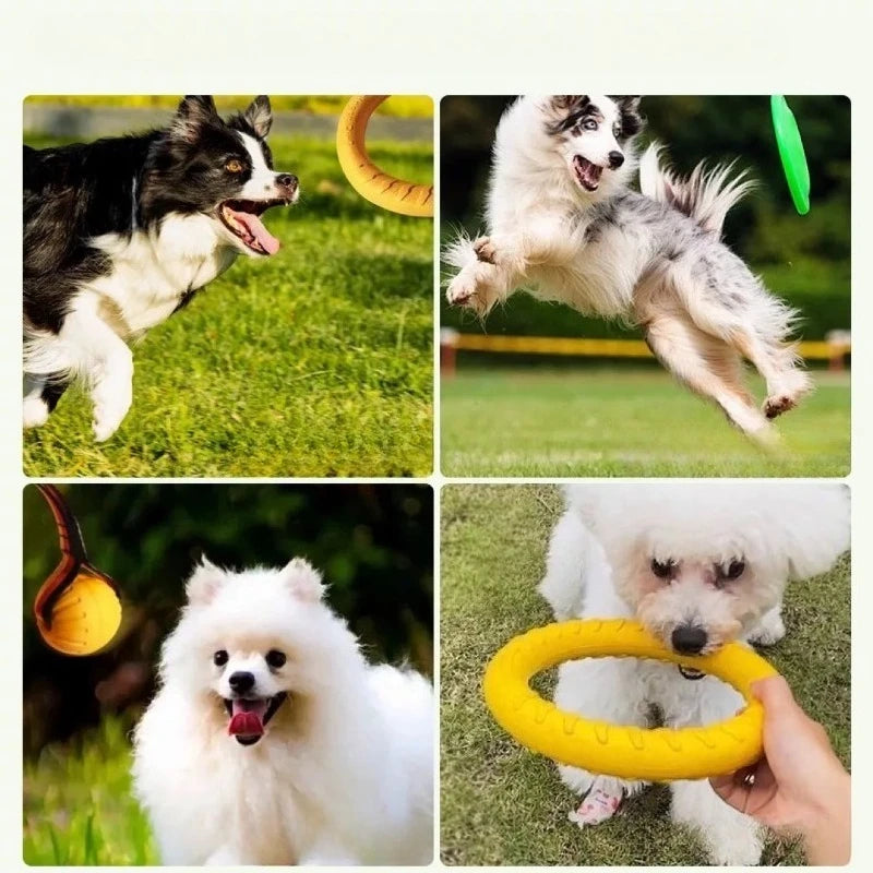 Dog Ring Toys