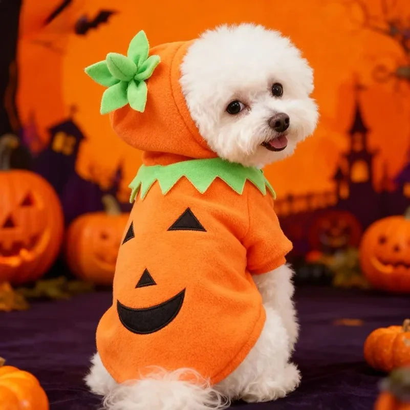 Halloween Pumpkin Pet Costume 🐶🐱