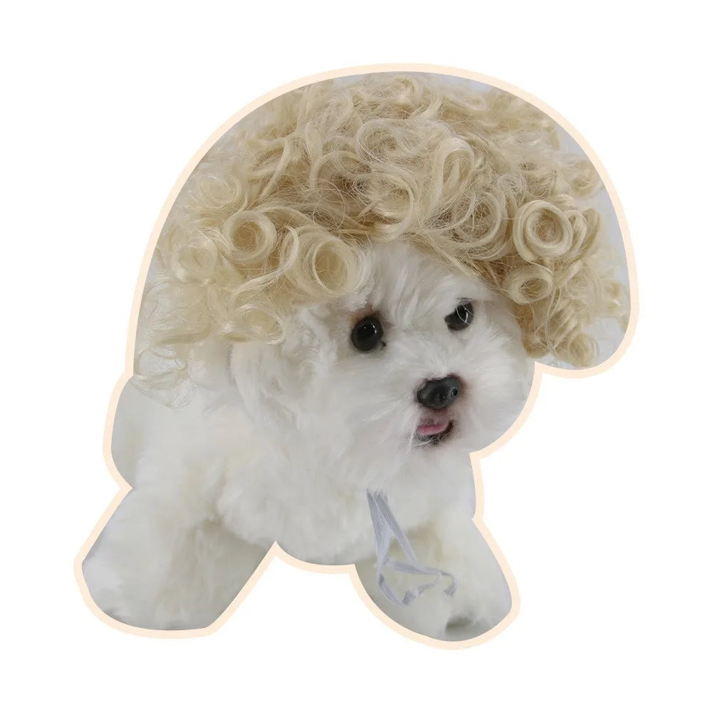 Pet Wigs 🐶🐱