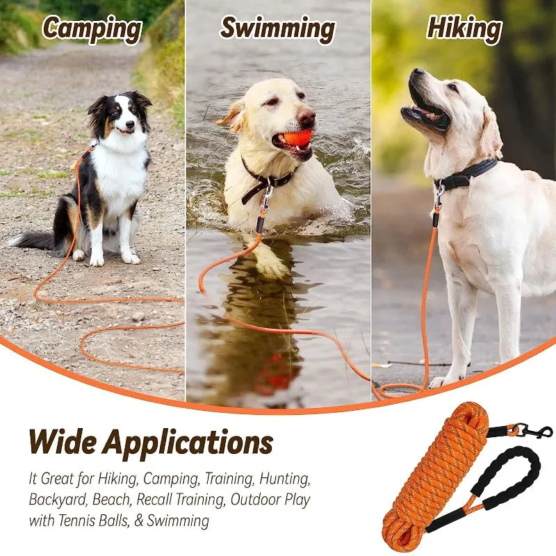 Dog Training Lead 5m 10m 15m