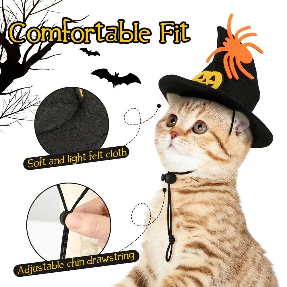 Pumpkin Halloween Cat Costume 🐱