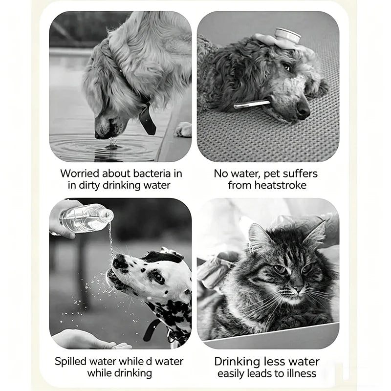 Portable Foldable Pet Water Bottle & Bowl