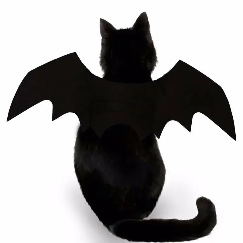 Cute Bat Halloween Costume 🐶🐱
