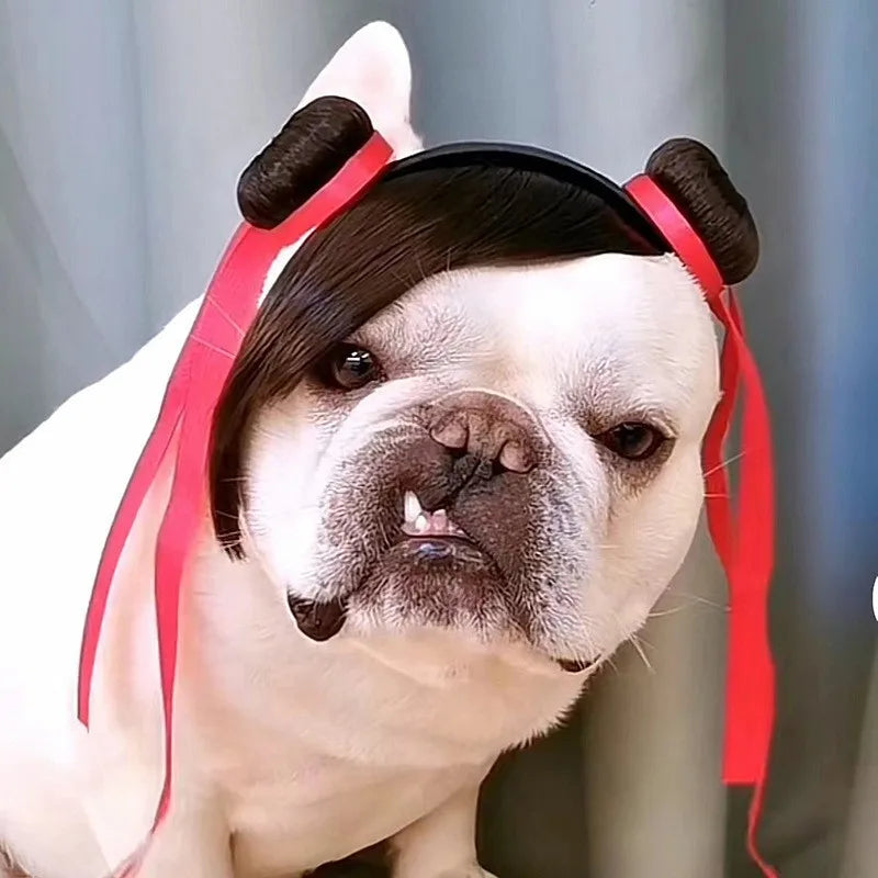 Pet Wigs 🐶🐱