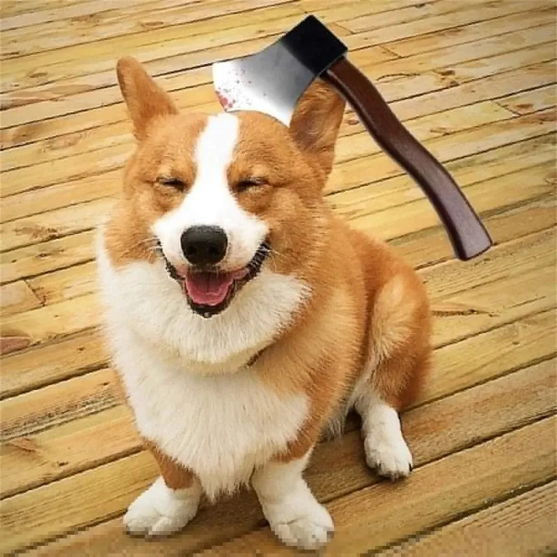 🎃 Pet Halloween Accessory 🪓