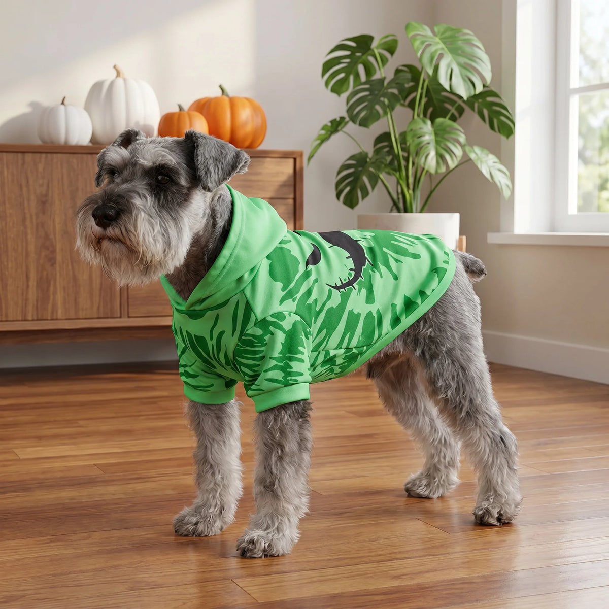 🎃 Scary Pumpkin Hoodie 🐶🐱