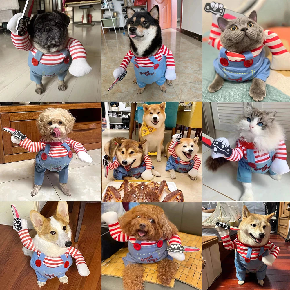 Dog Halloween Costume 🐶