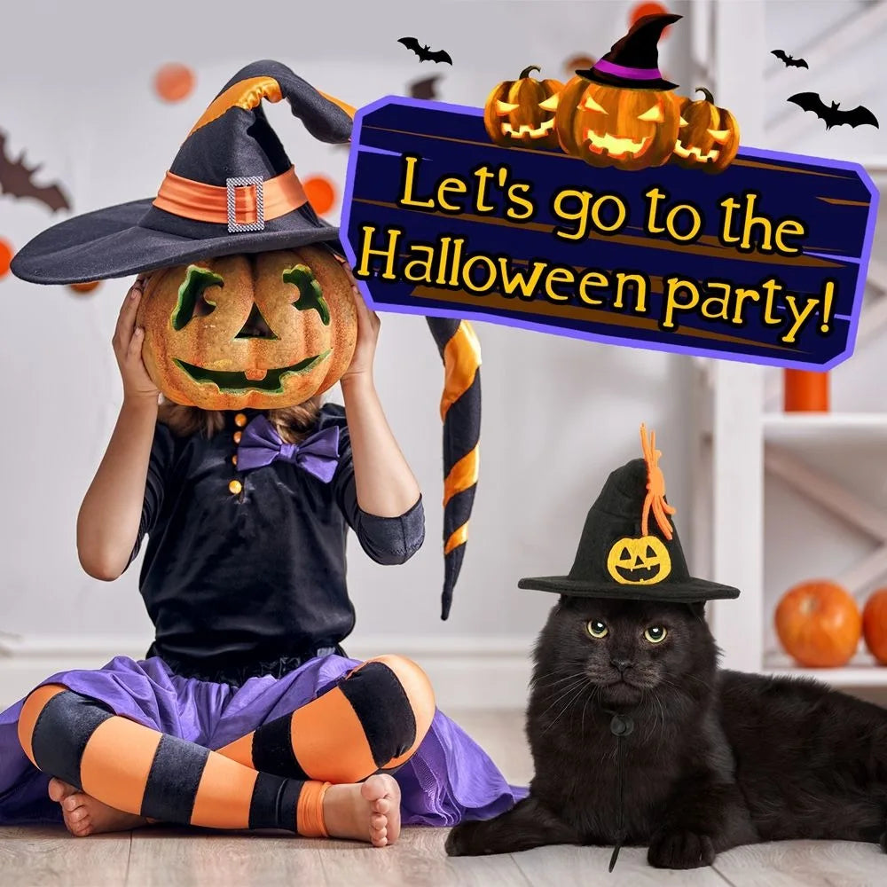 Pumpkin Halloween Cat Costume 🐱