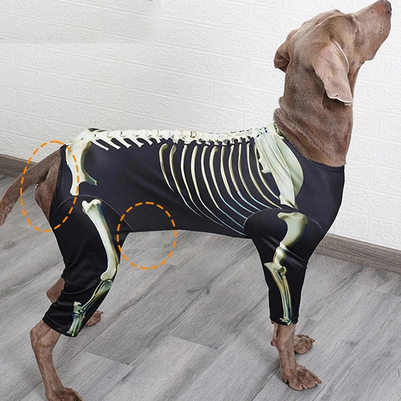 Pet Skeleton Halloween Costume 🐶