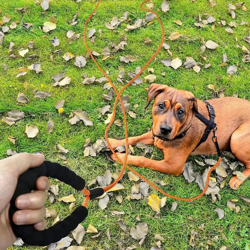 Dog Training Lead 5m 10m 15m