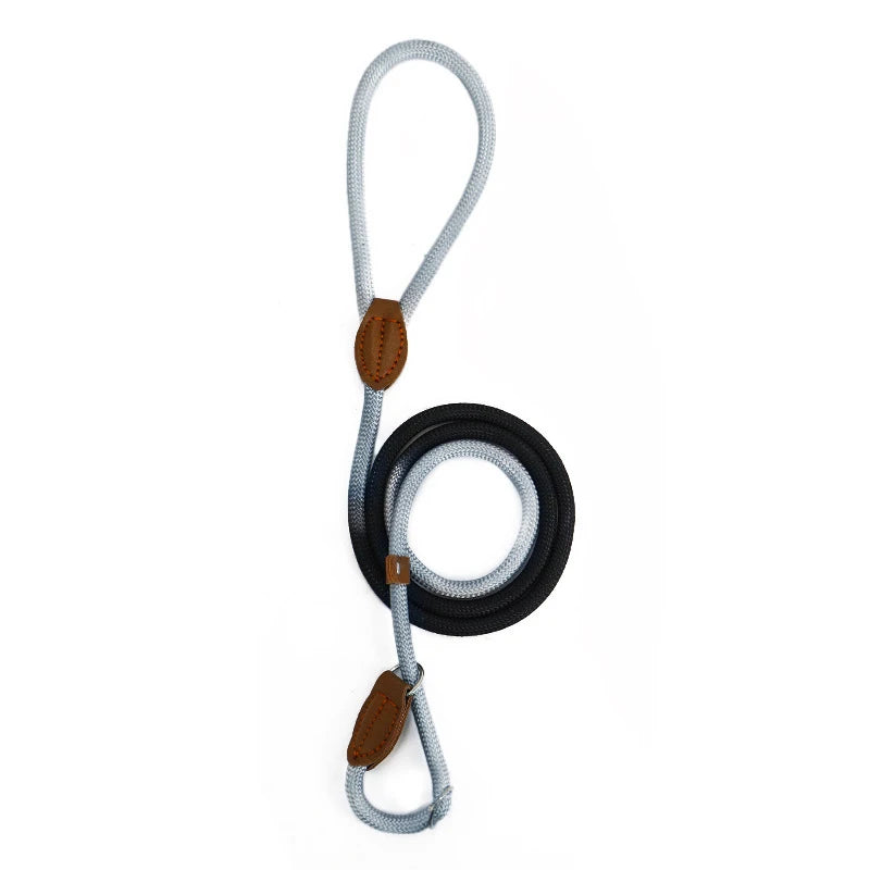 Dog Slip Lead for Small Medium Large Dogs