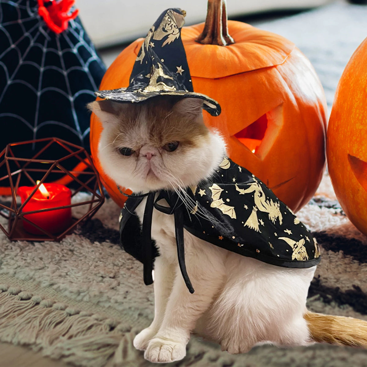 Wizard/Witch Halloween Costume 🐶🐱