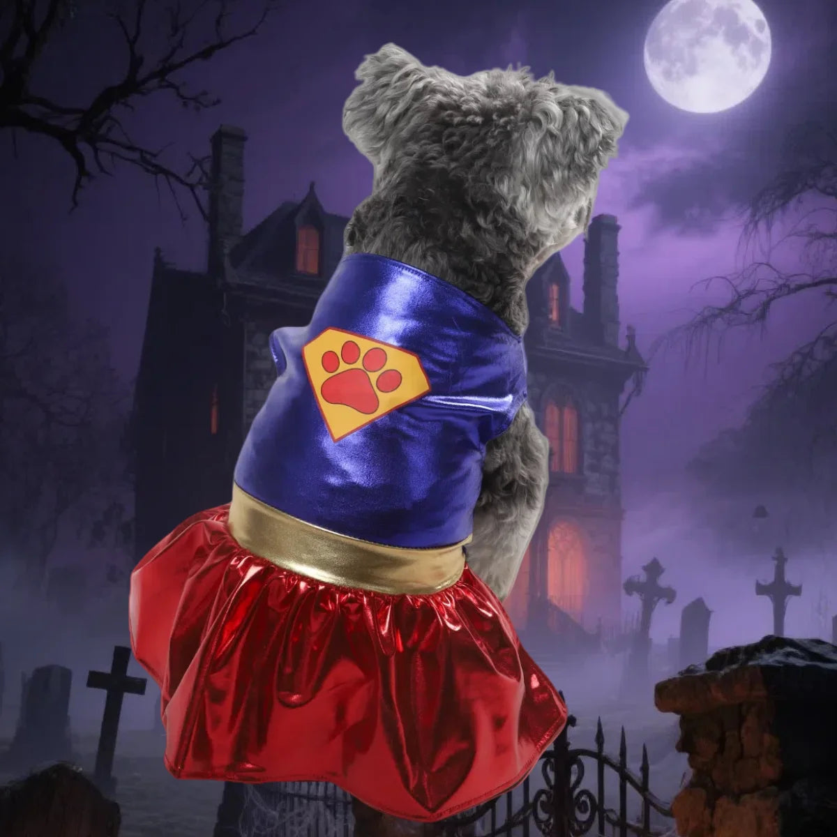 Pet Halloween Costume 🐶🐱
