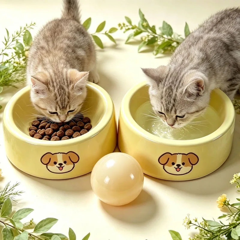 Non-Slip Pet Food & Water Bowl – Anti-Tip Design