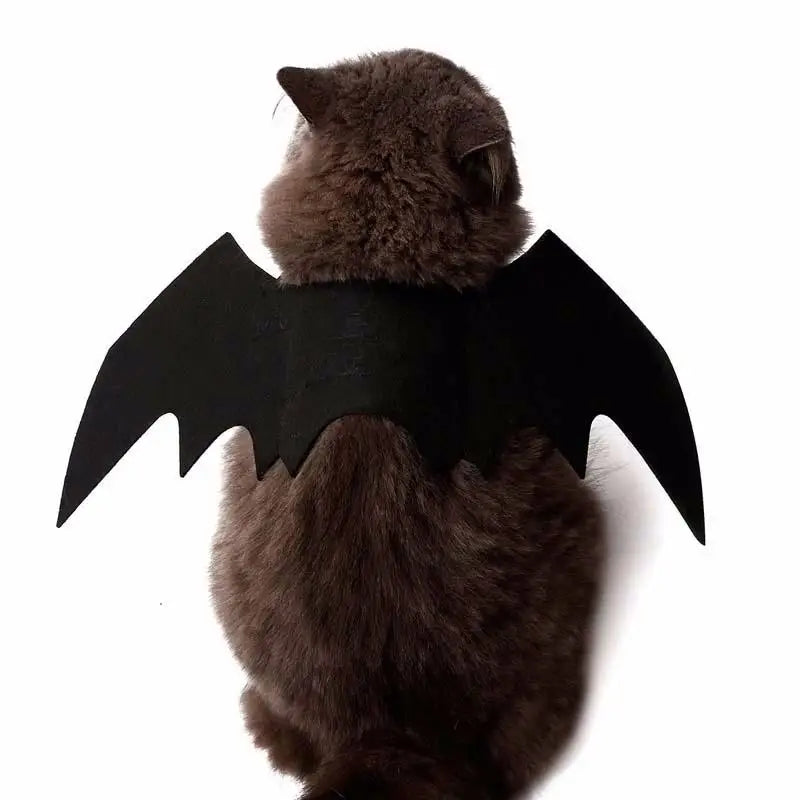 Cute Bat Halloween Costume 🐶🐱